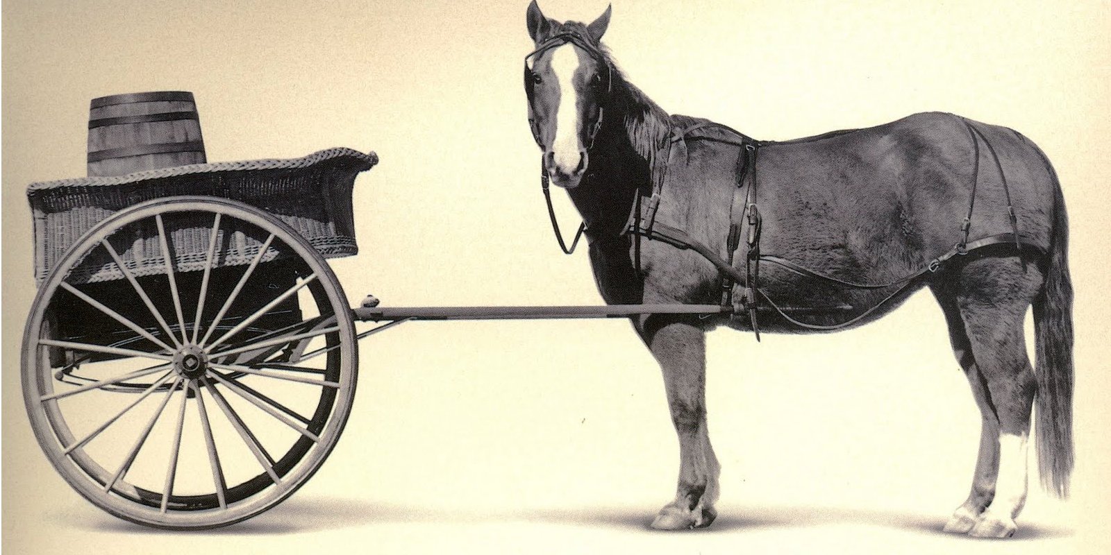 cart_before_the_horse1